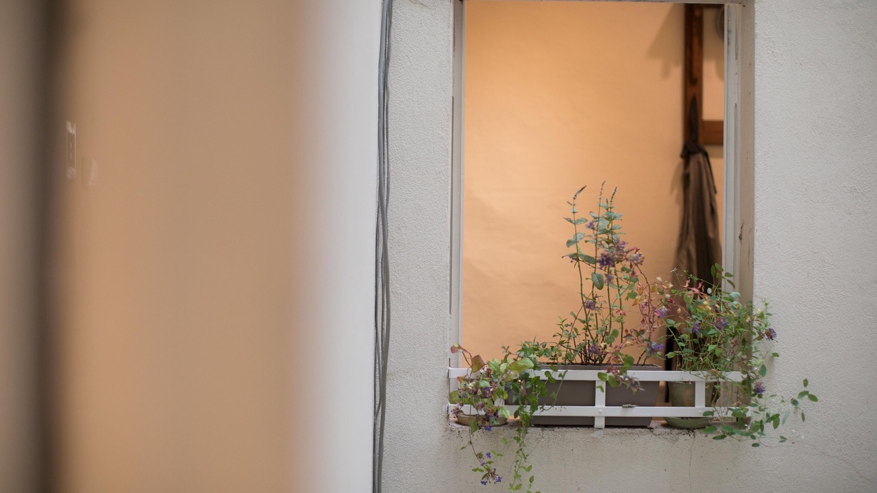 Photo of Outdoor in Parma City Centre