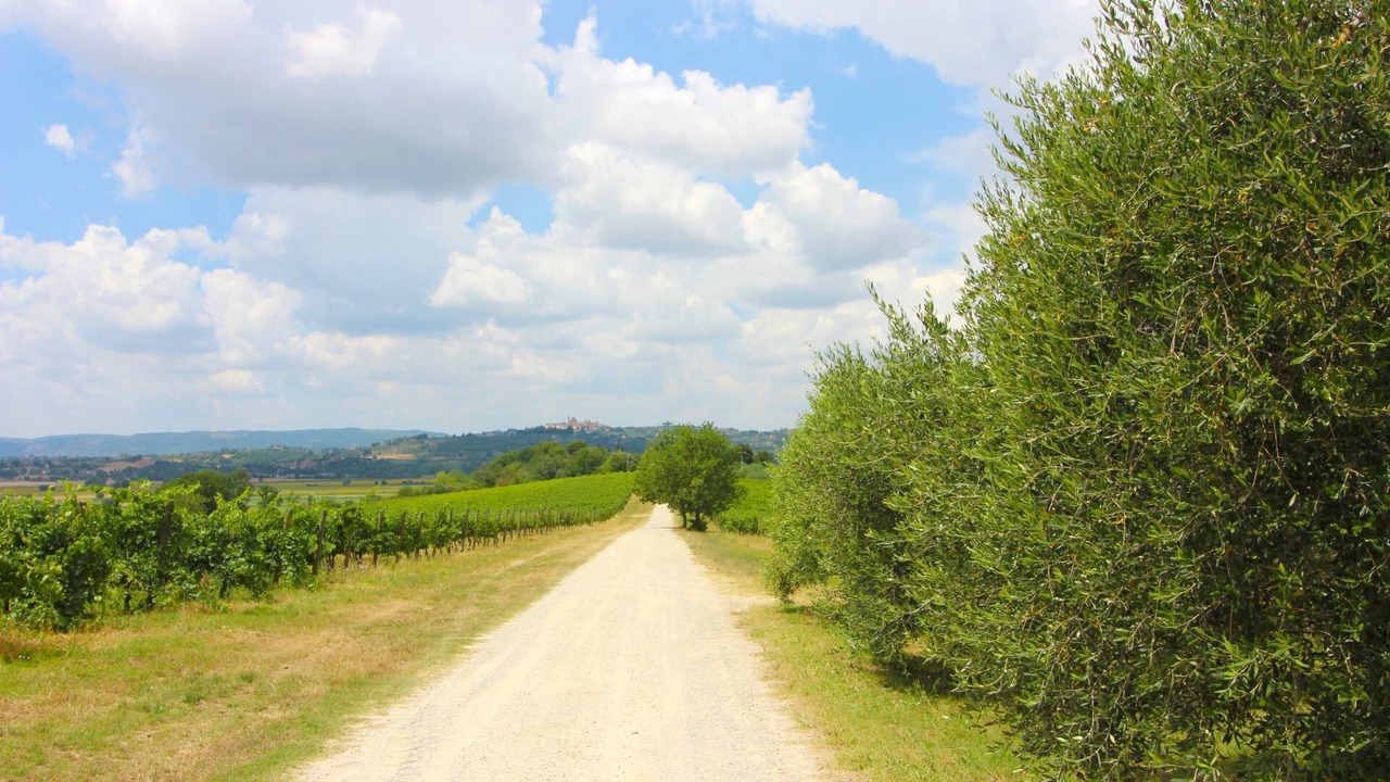 Photo of Outdoor in Foiano della Chiana