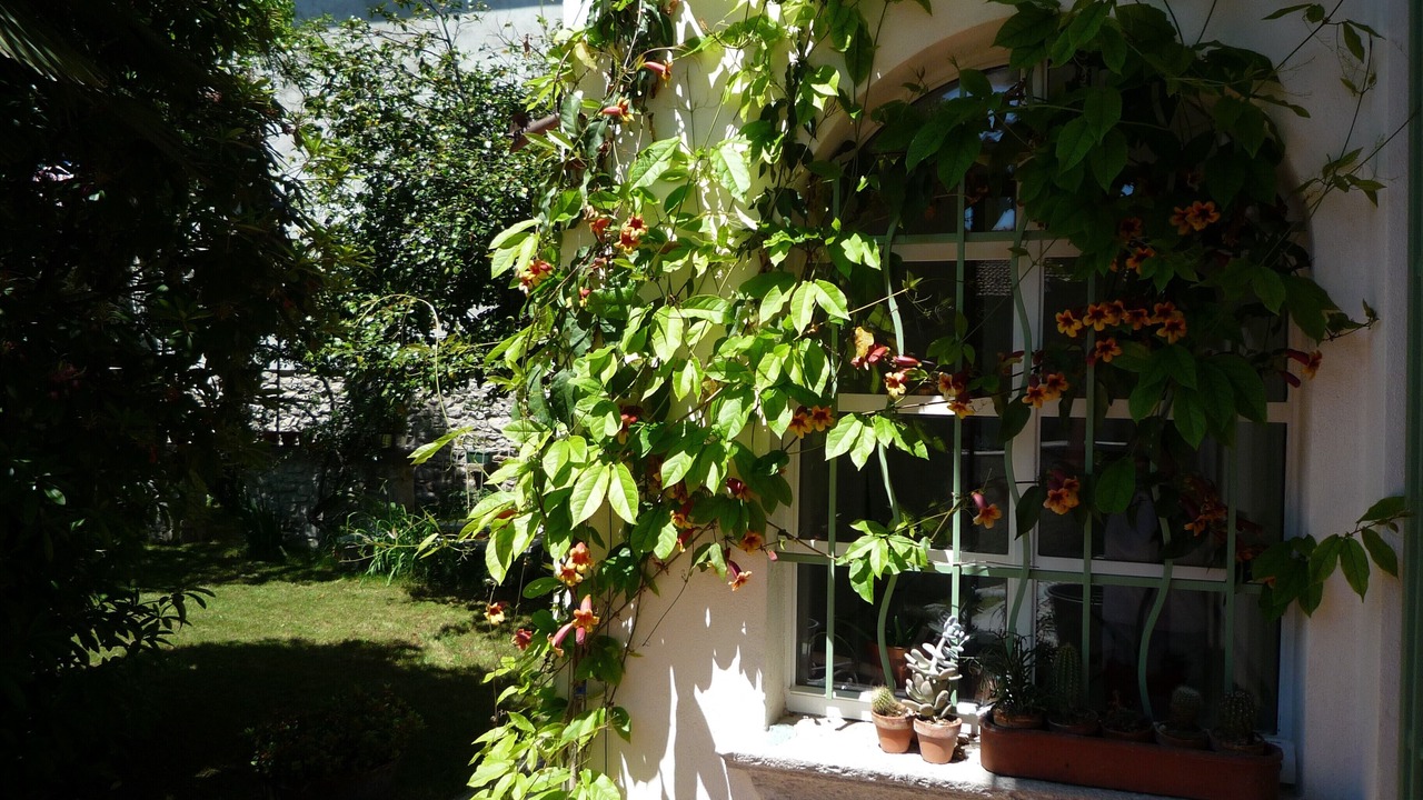 Photo of Outdoor in Pisano