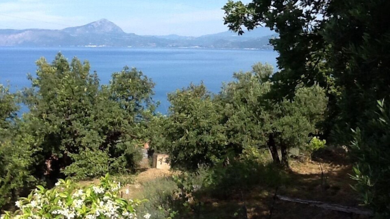Photo of Others in Cersuta