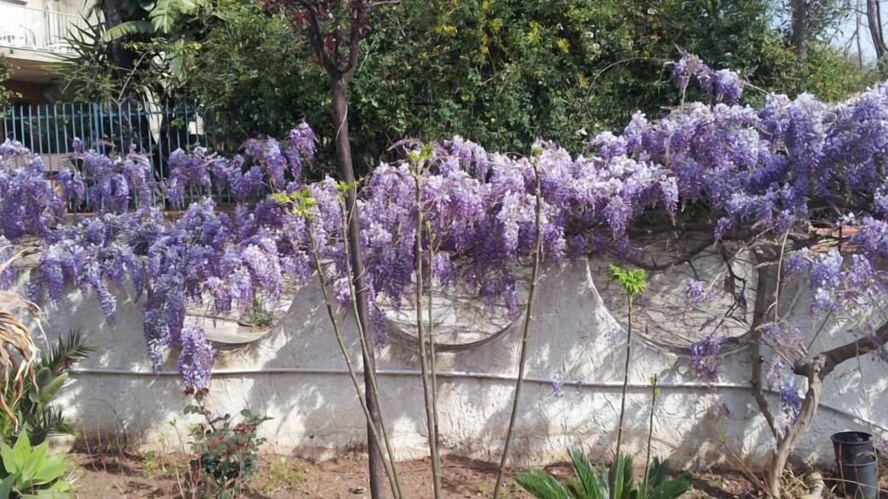 Photo of Outdoor in Manfria