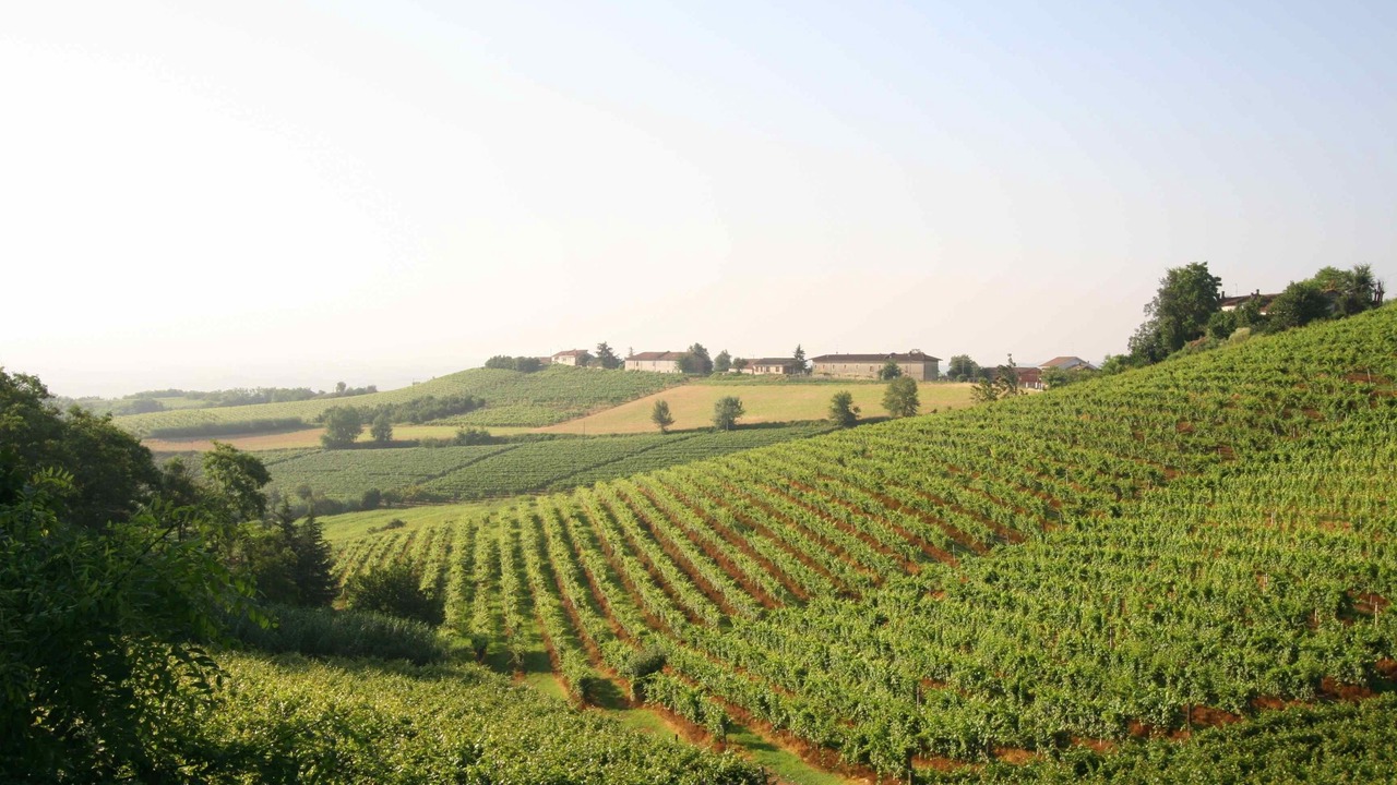 Photo of Outdoor in Vaglio Serra