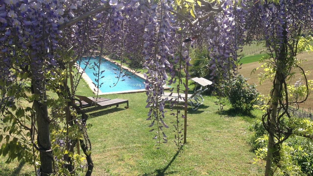 Photo of Outdoor in Vaglio Serra