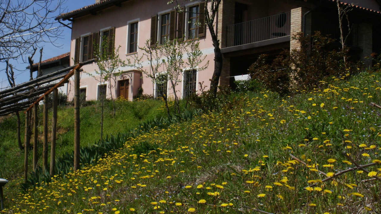 Photo of Outdoor in Vaglio Serra