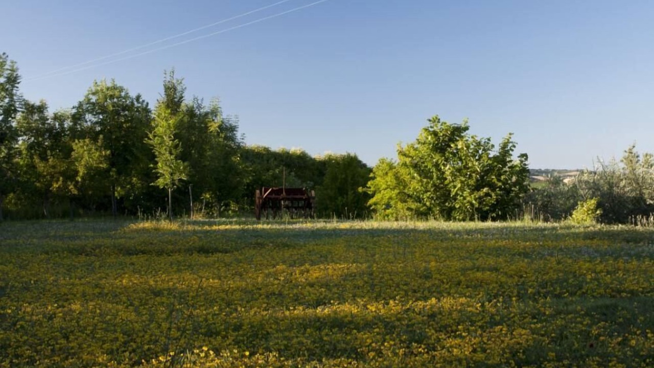 Photo of Outdoor in Mombaroccio