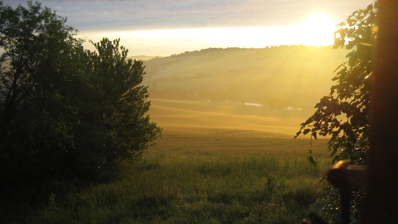 Photo of Outdoor in Mombaroccio