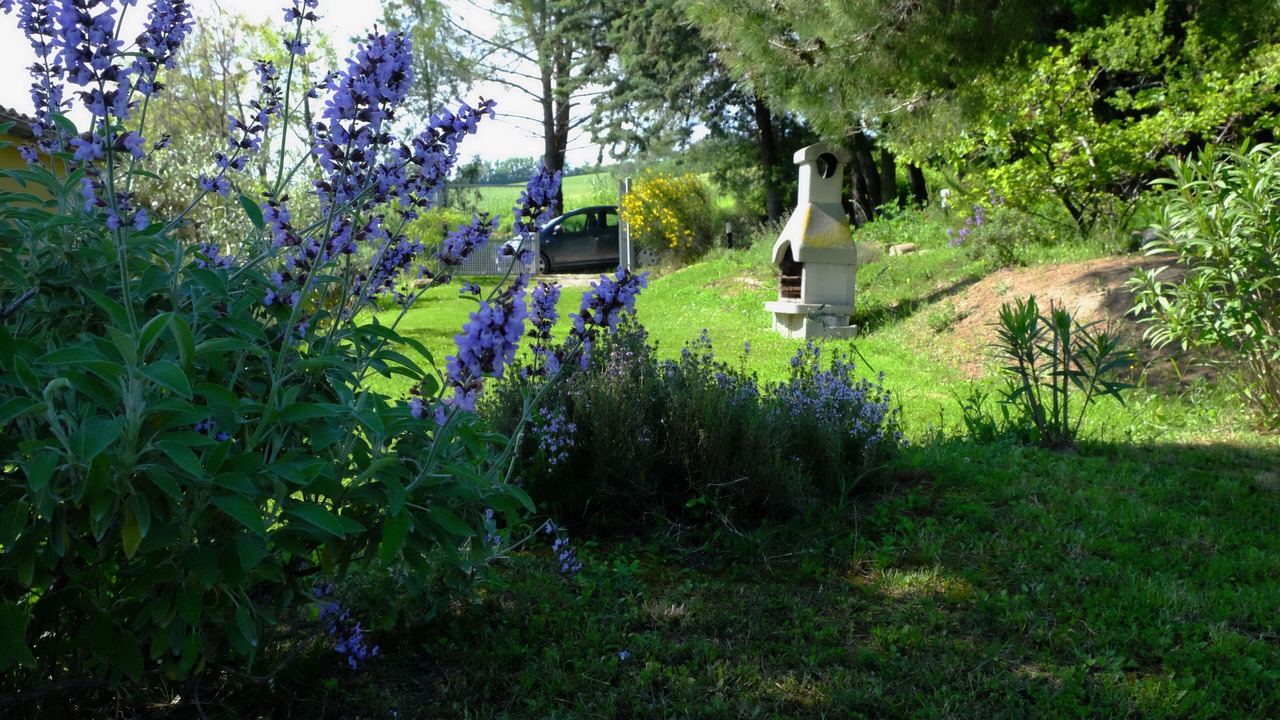 Photo of Outdoor in Mombaroccio