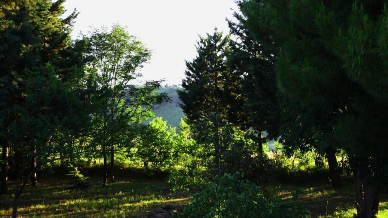 Photo of Outdoor in Mombaroccio