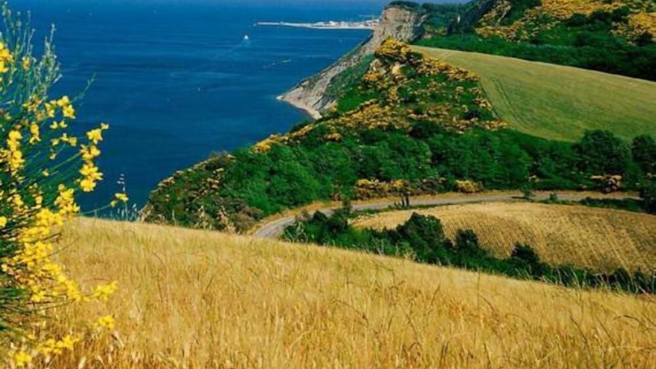 Photo of Others in Mombaroccio