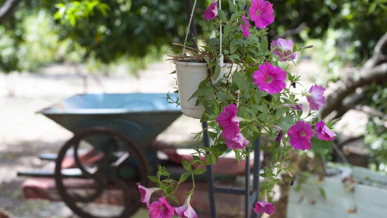 Photo of Outdoor in Pietra Ligure