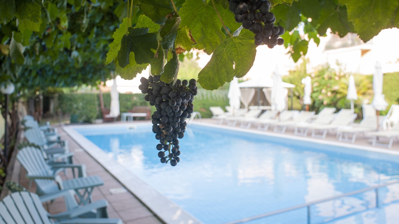 Photo of Outdoor in Pietra Ligure