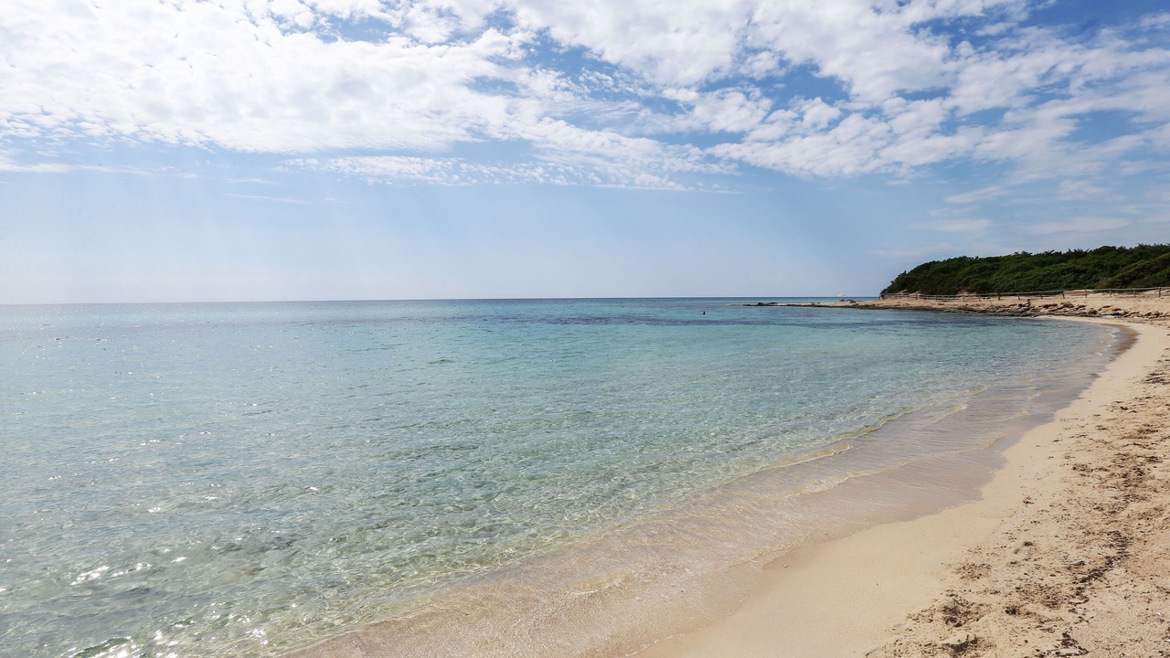 Photo of Others in Punta Prosciutto