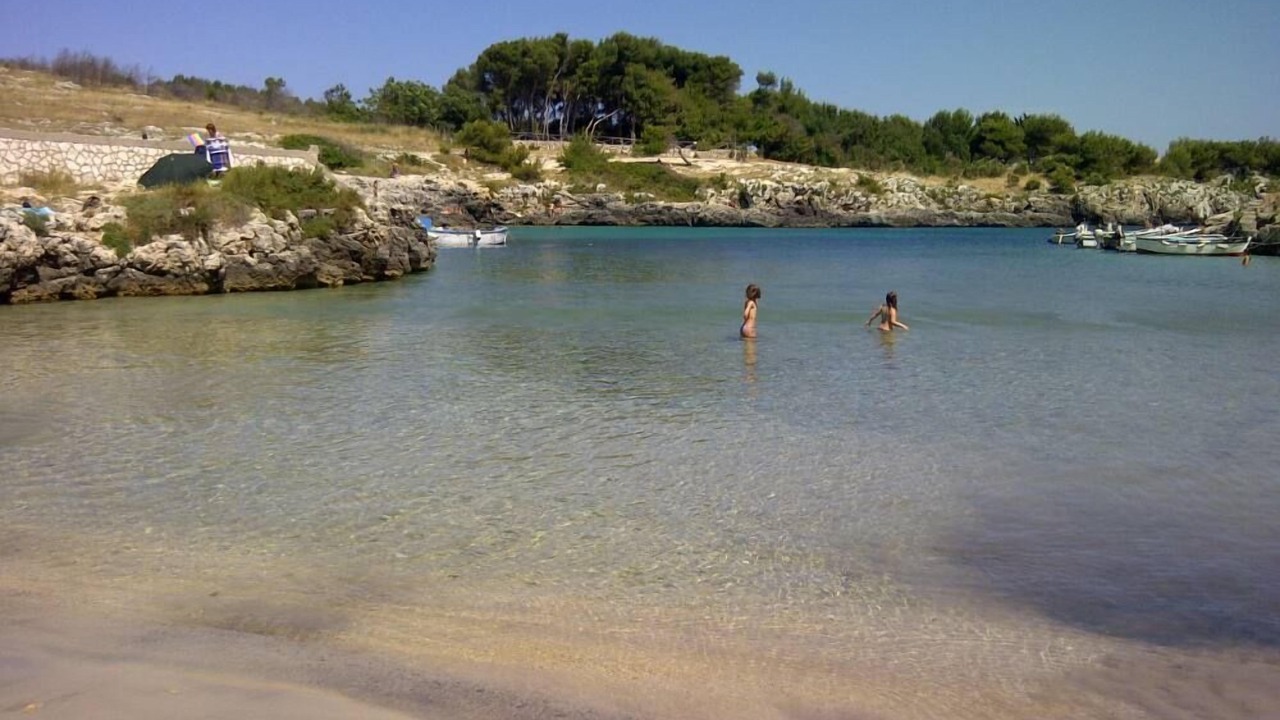 Photo of Others in Fraula