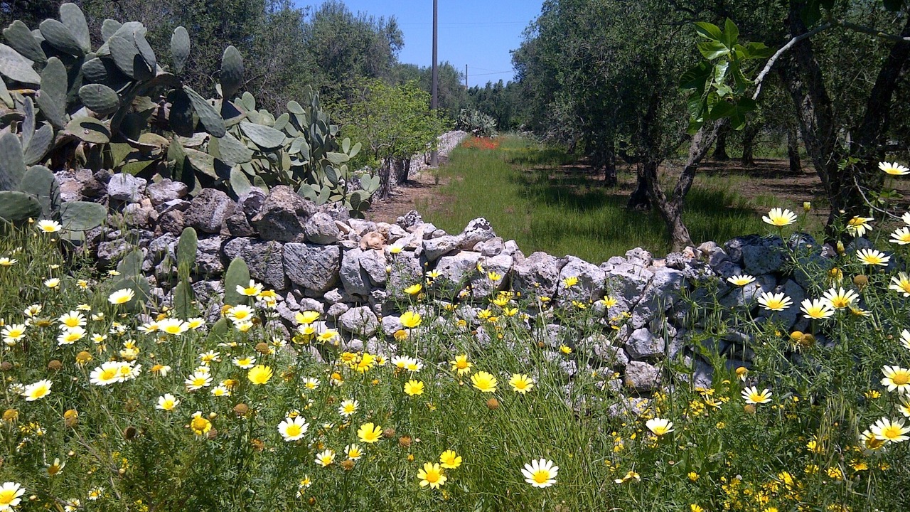 Photo of Outdoor in Fraula