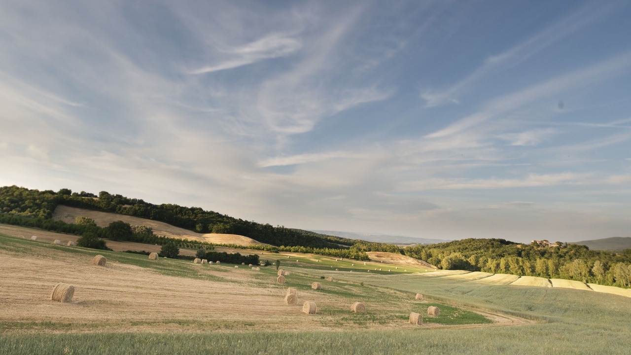 Photo of Others in Casole d'Elsa