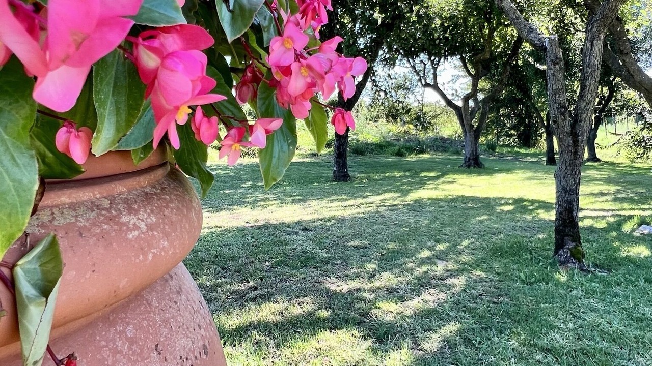 Photo of Outdoor in Chiarano
