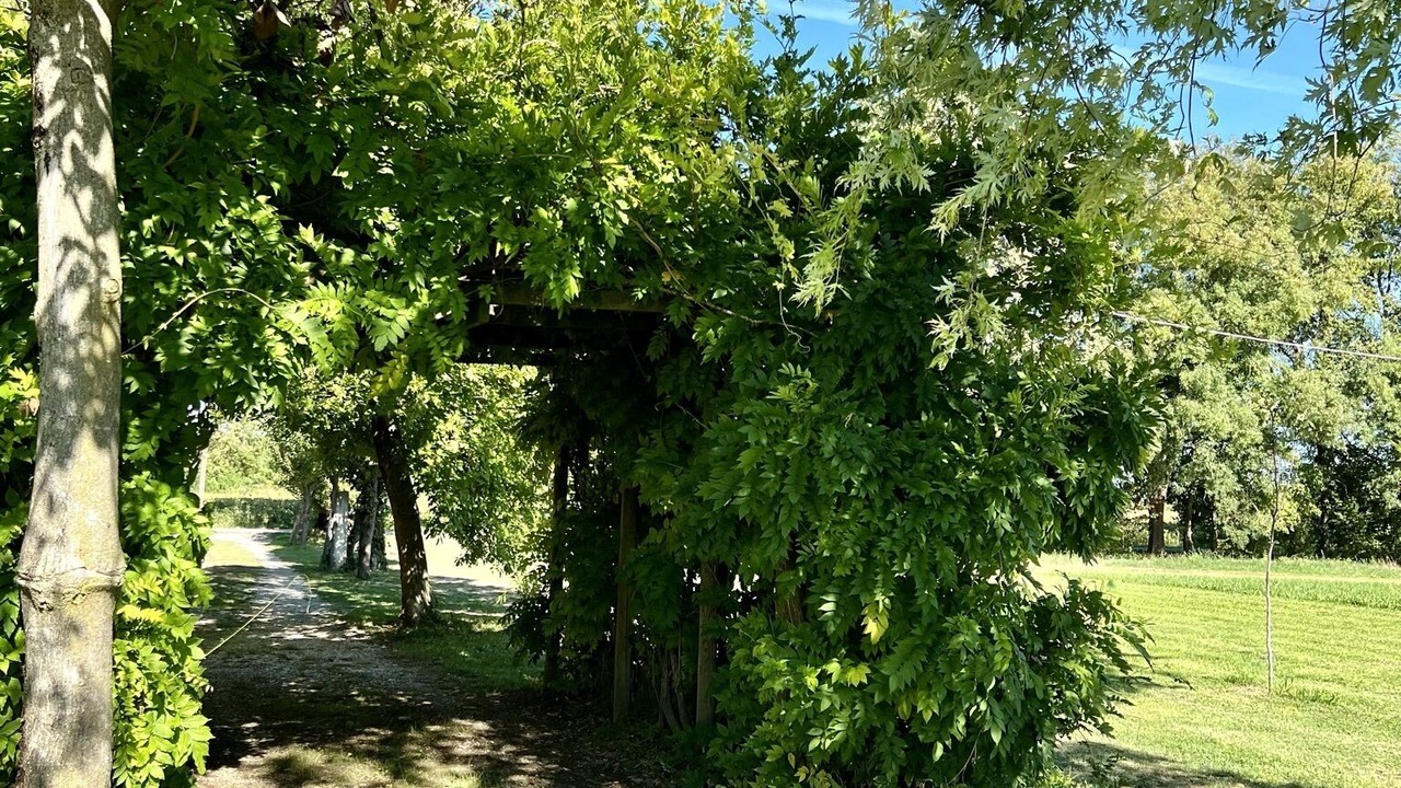 Photo of Outdoor in Chiarano