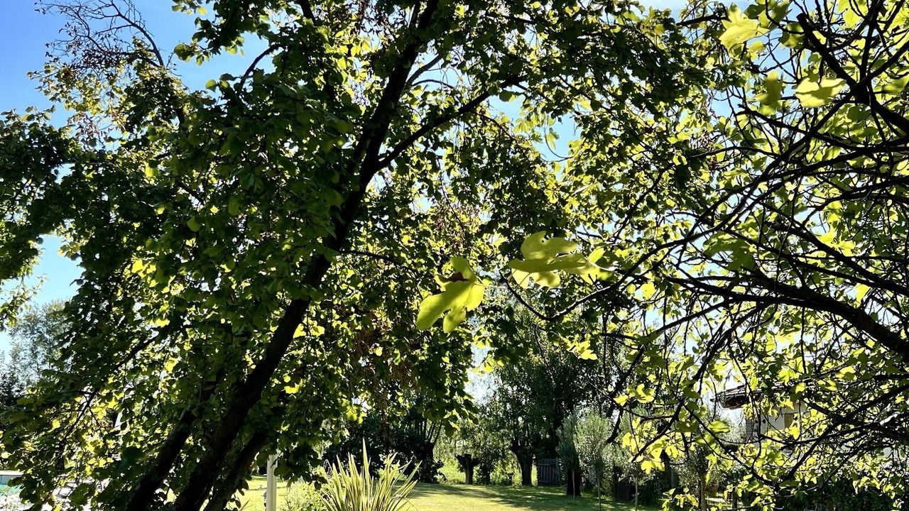 Photo of Outdoor in Chiarano