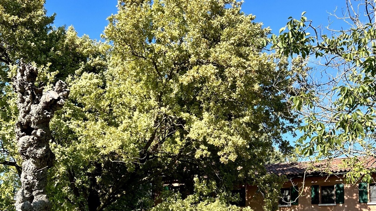 Photo of Outdoor in Chiarano