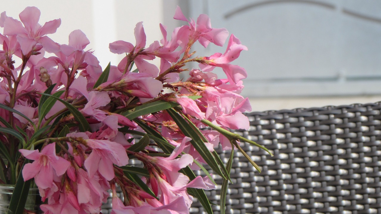 Photo of Outdoor in Marina di Mancaversa