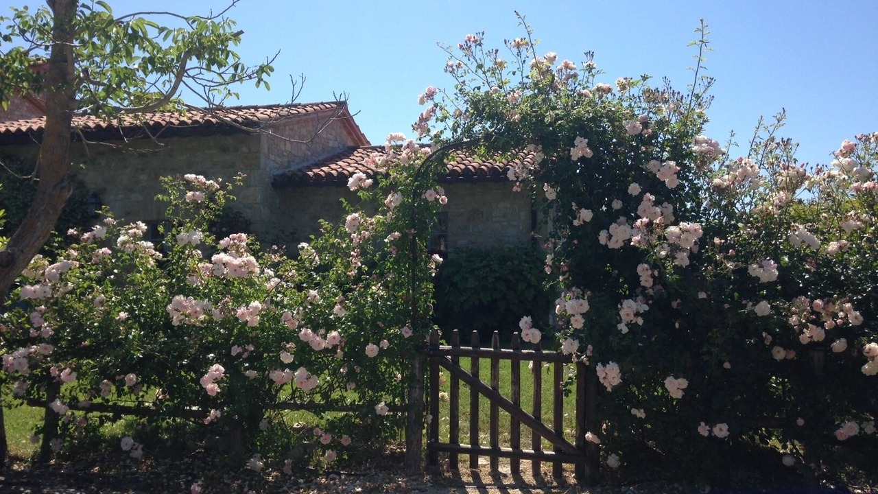 Photo of Outdoor in Acqua Loreto