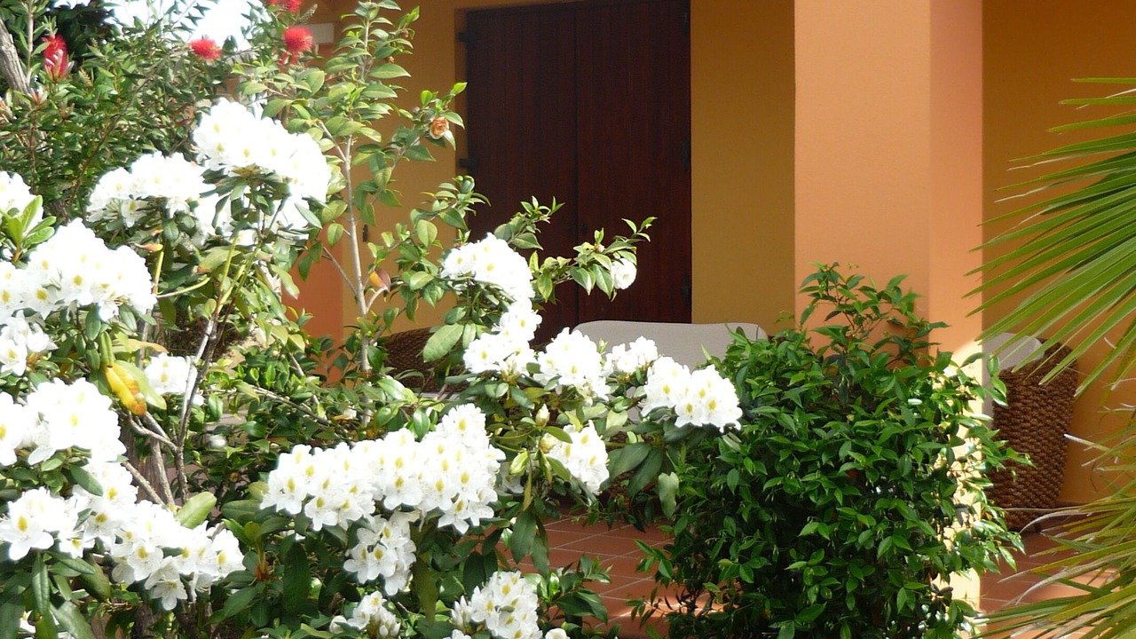 Photo of Outdoor in Arbatax