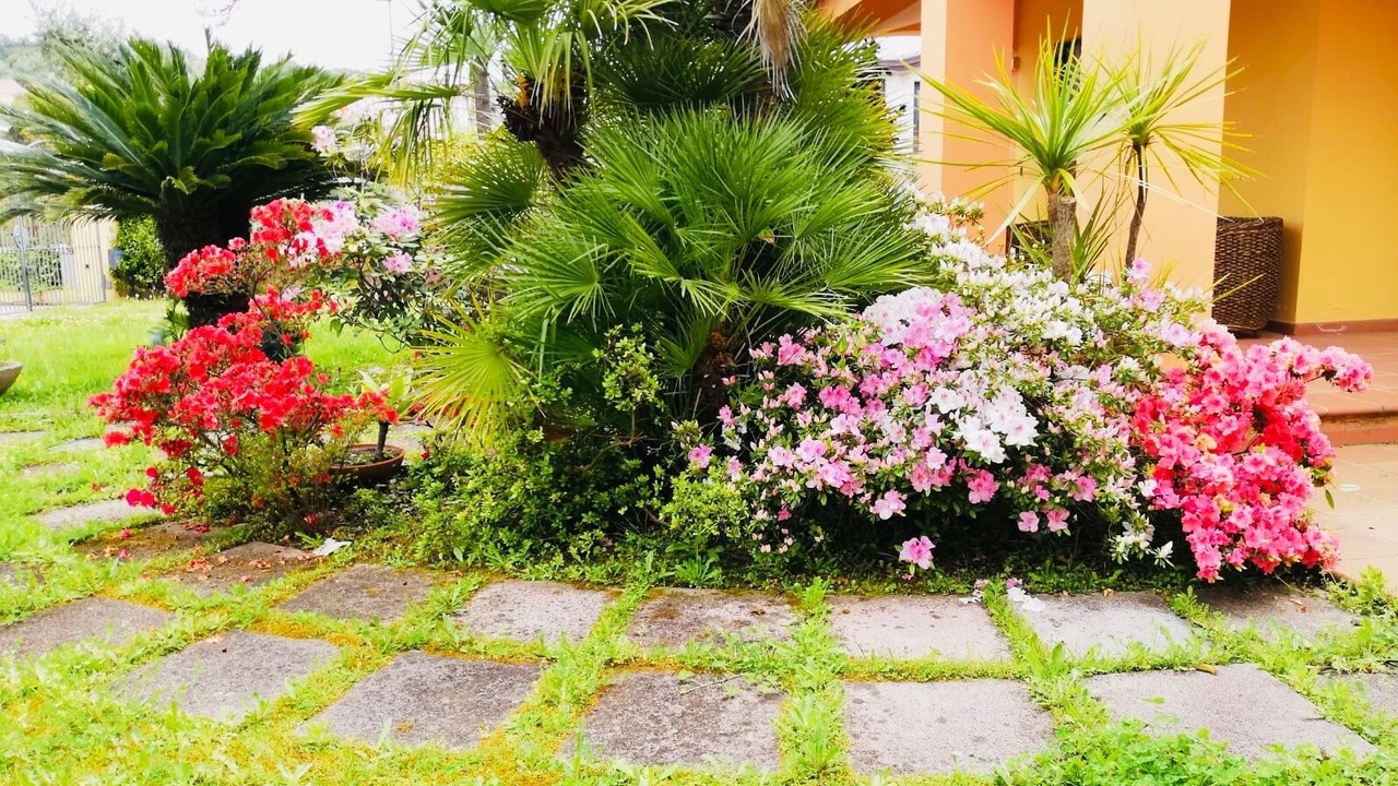 Photo of Outdoor in Arbatax