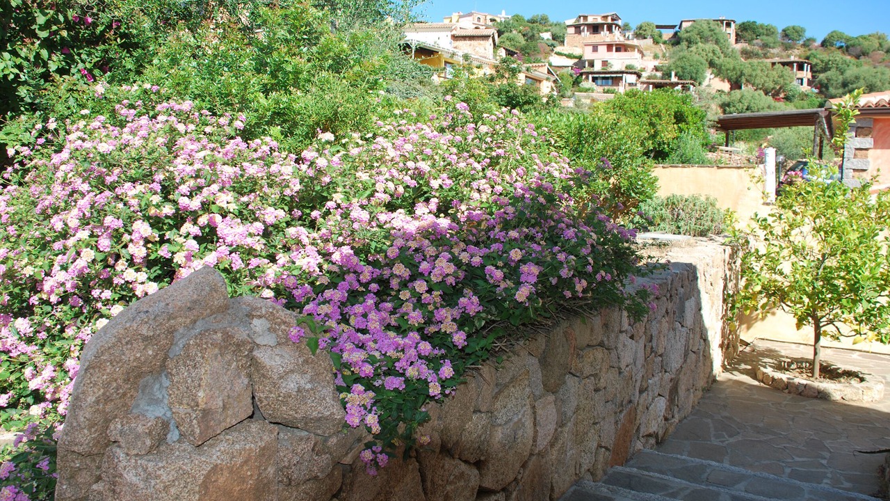 Photo of Outdoor in Porto San Paolo