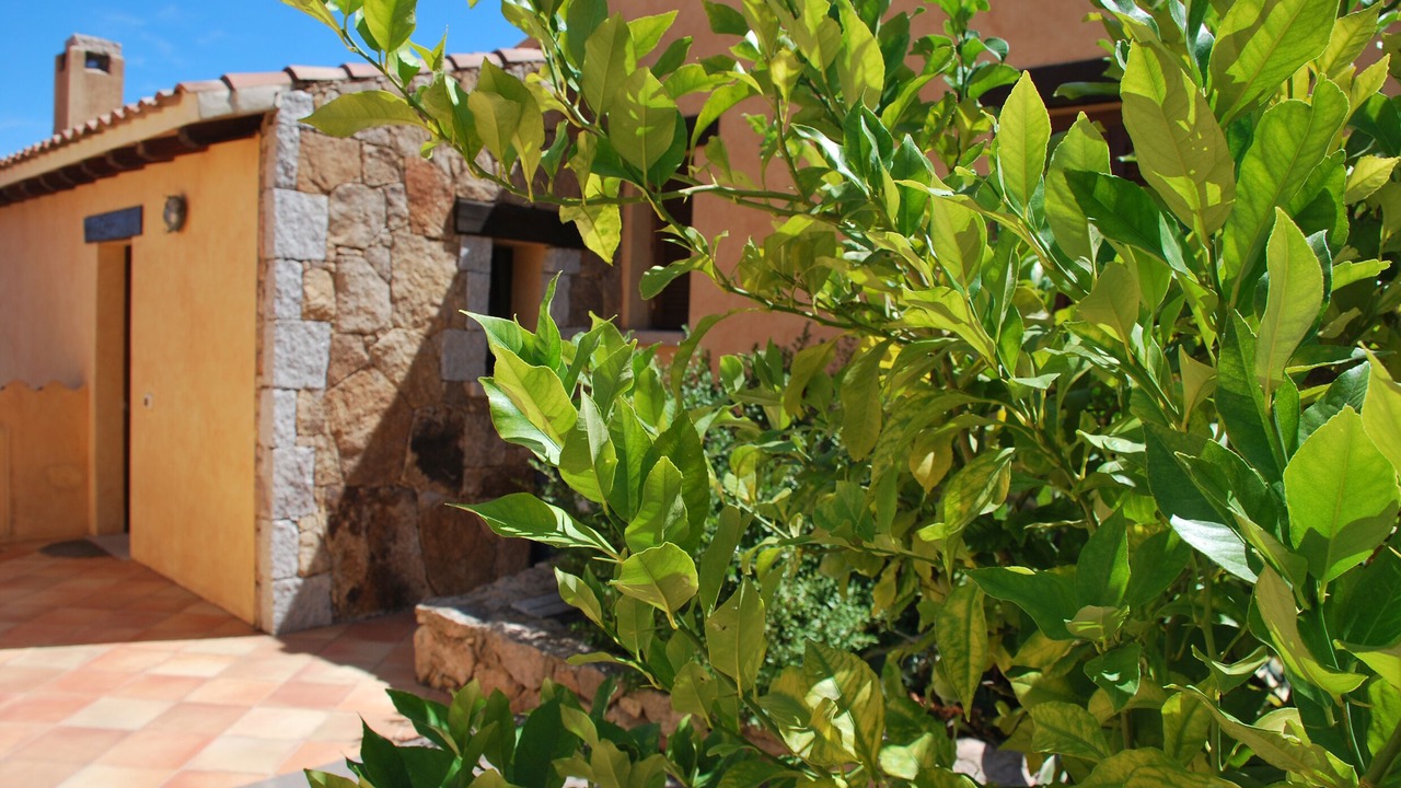 Photo of Outdoor in Porto San Paolo