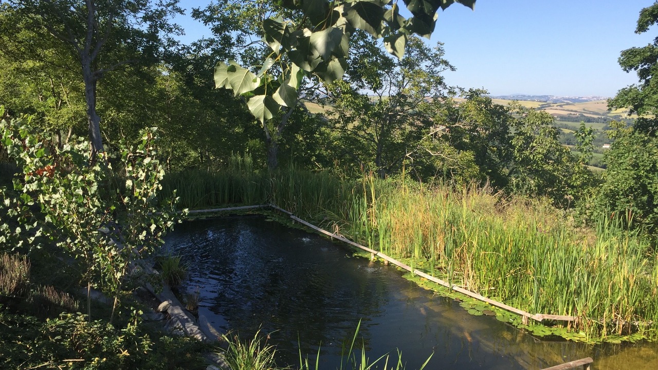 Photo of Outdoor in Tolentino