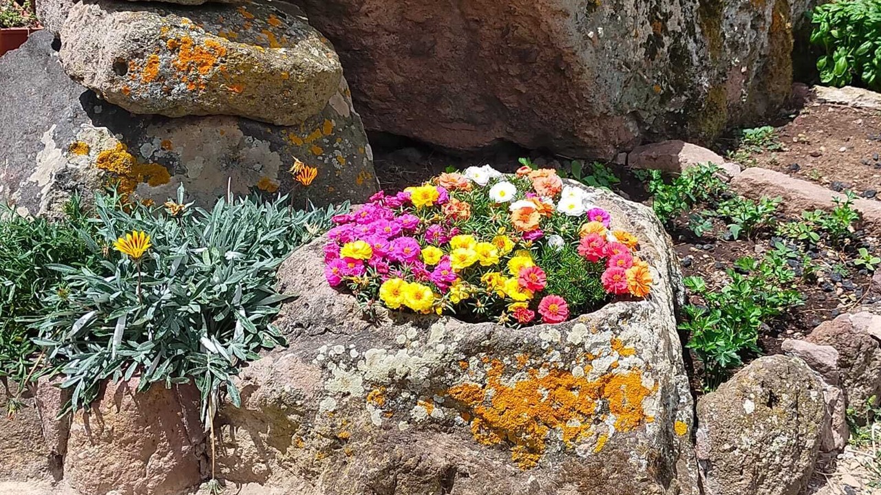 Photo of Outdoor in Villanova Monteleone