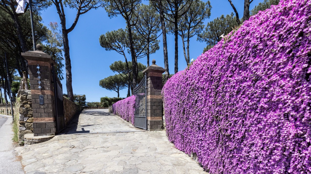 Photo of Outdoor in Sant'Agata sui Due Golfi