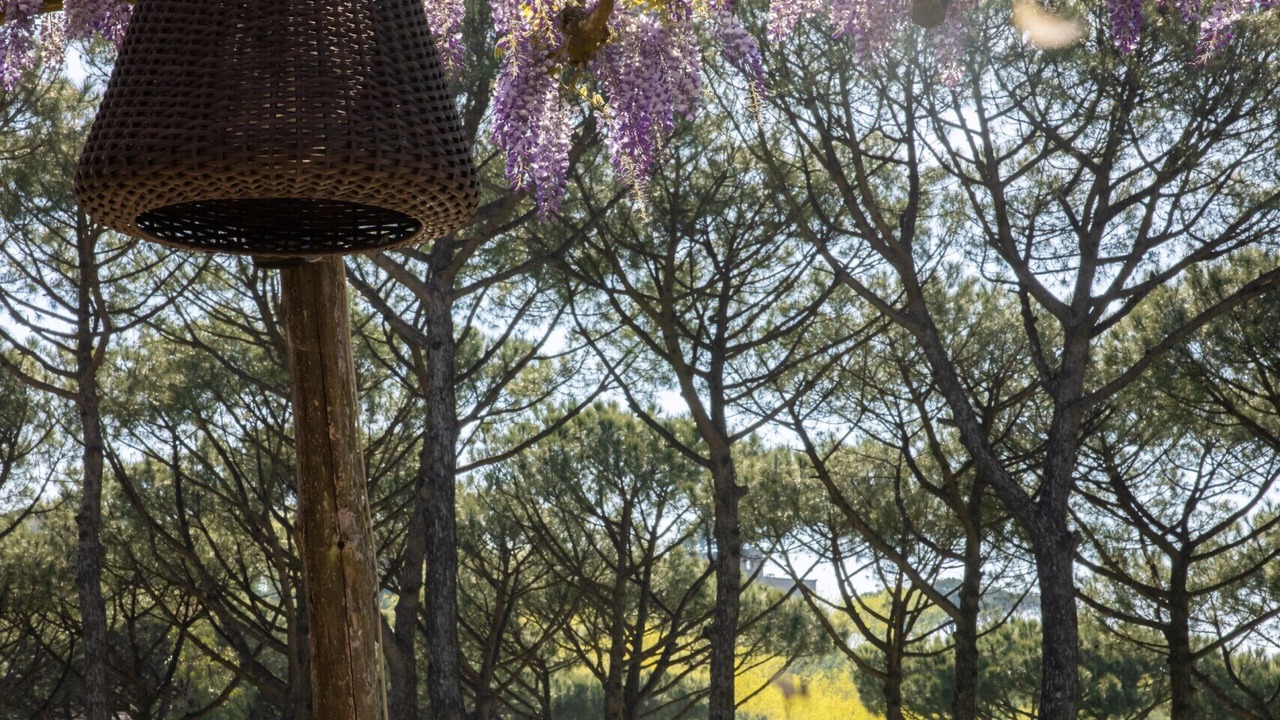 Photo of Outdoor in Sant'Agata sui Due Golfi