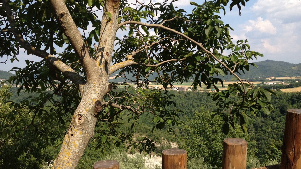 Photo of Outdoor in Cessapalombo