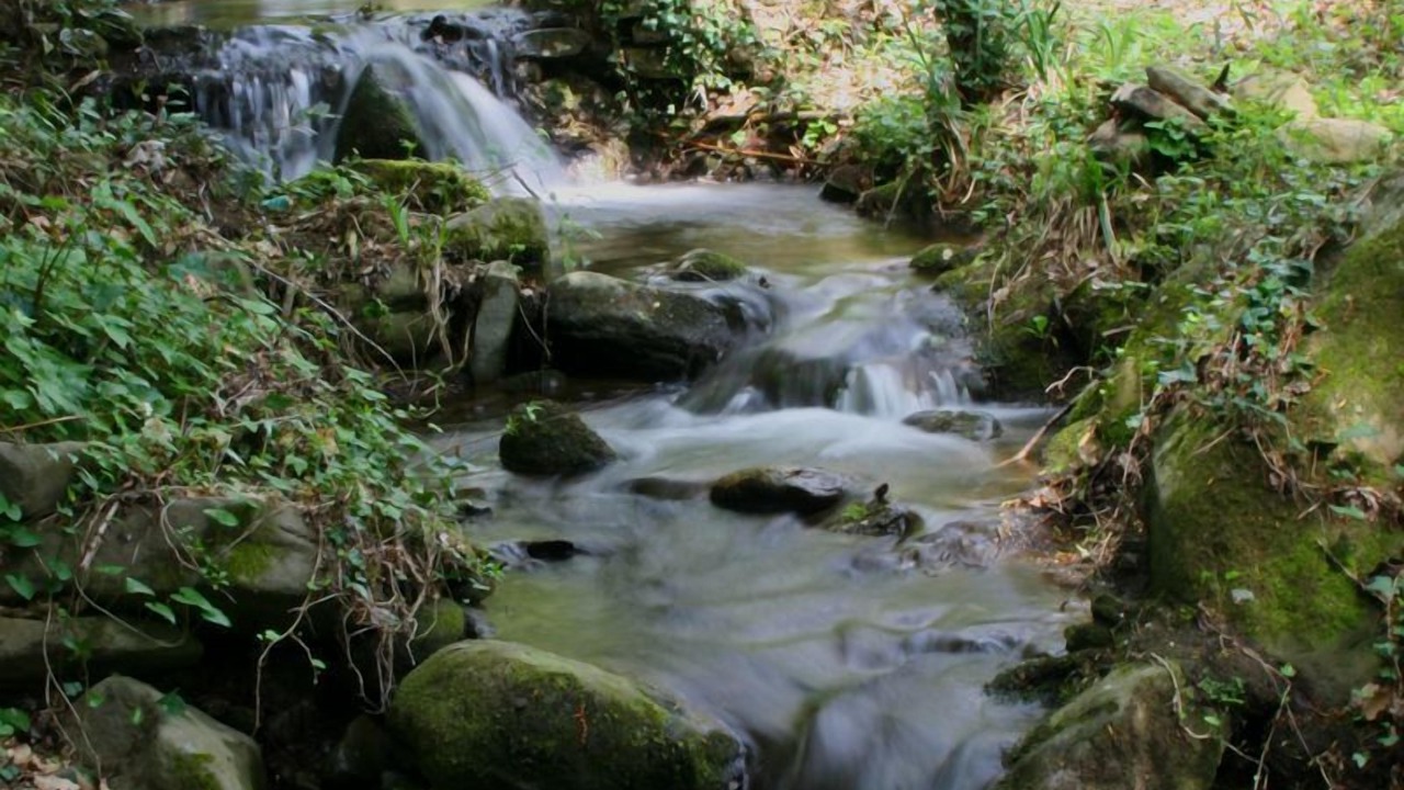 Photo of Outdoor in San Pietro a Cegliolo