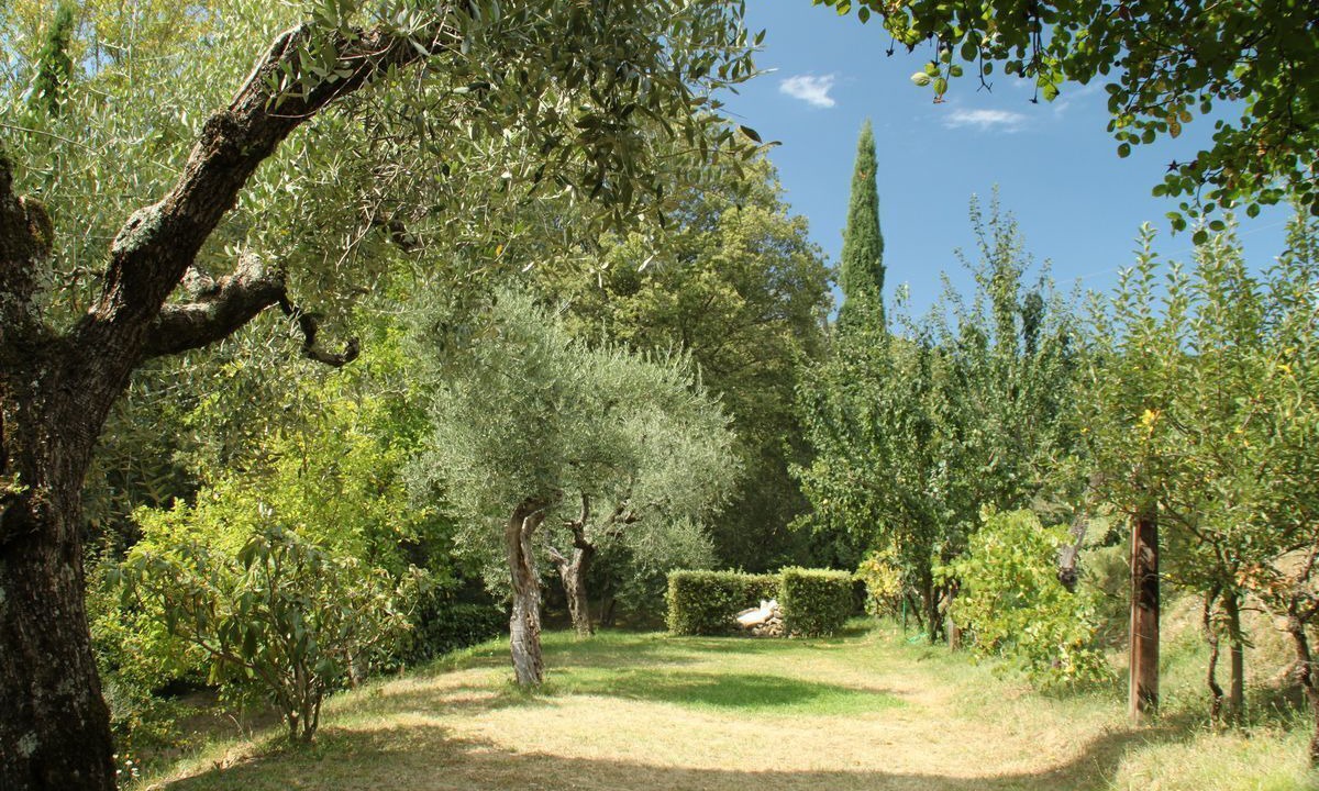 Photo of Outdoor in San Pietro a Cegliolo