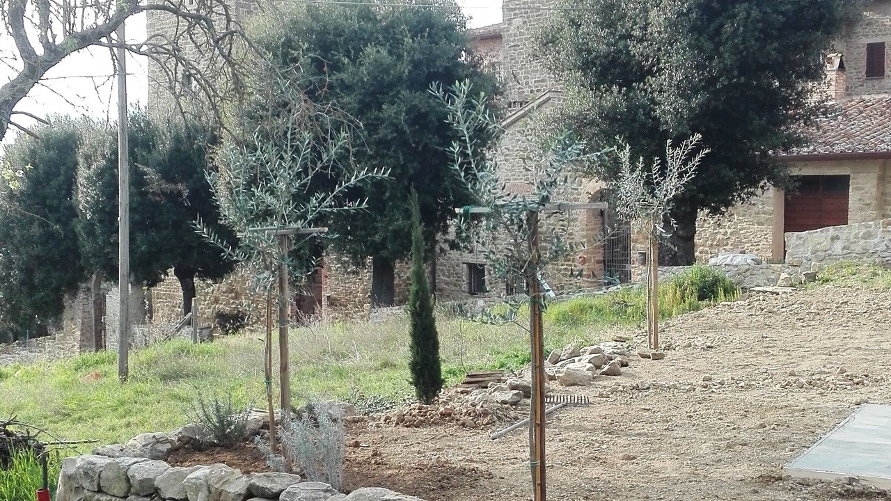 Photo of Outdoor in San Feliciano