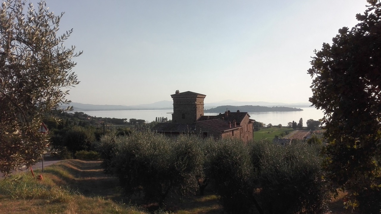 Photo of Outdoor in San Feliciano