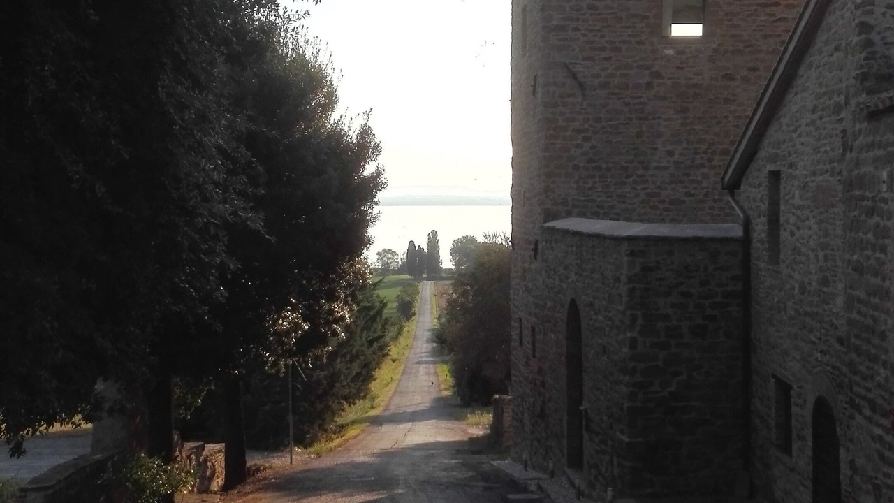 Photo of Outdoor in San Feliciano
