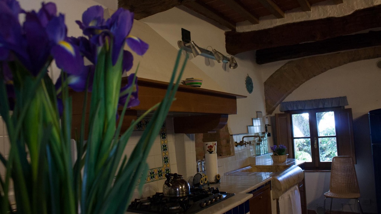 Photo of Kitchen in Radicondoli