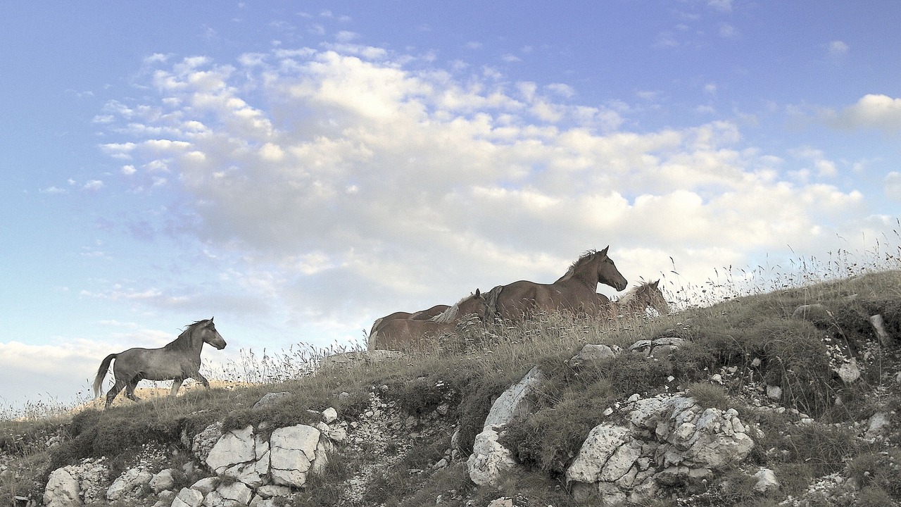 Photo of Outdoor in Calascio