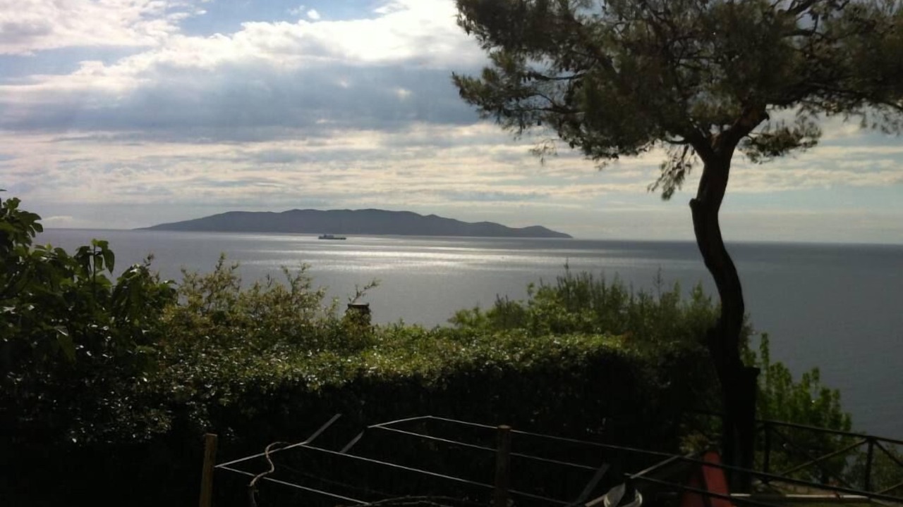 Photo of Others in Cala Piccola