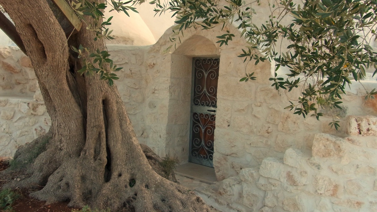 Photo of Outdoor in Ostuni