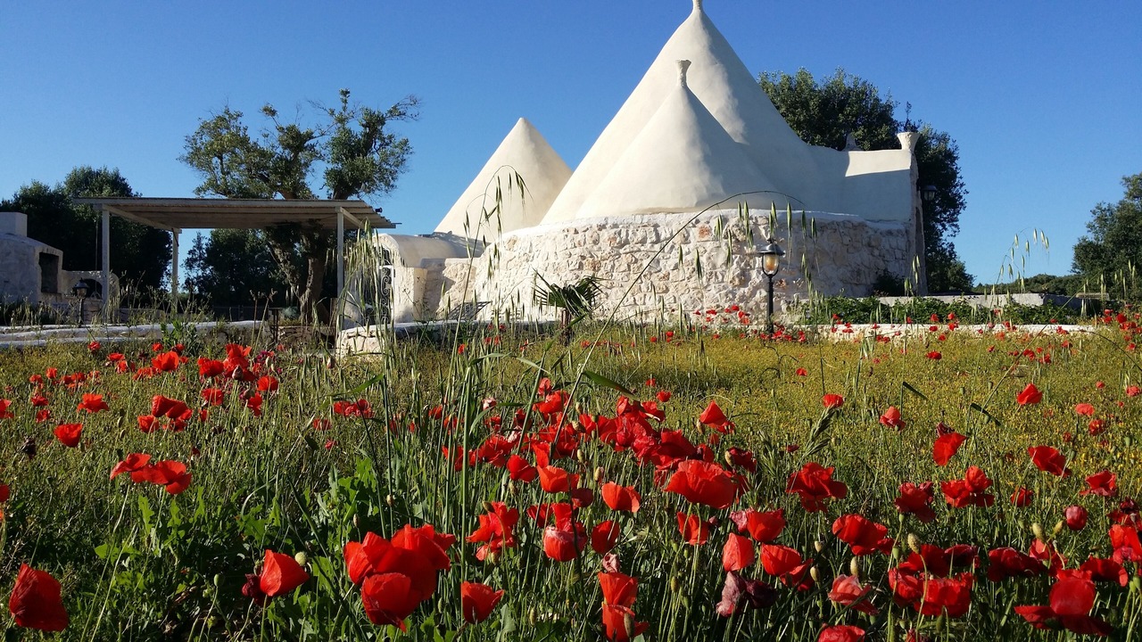 Photo of Others in Ostuni