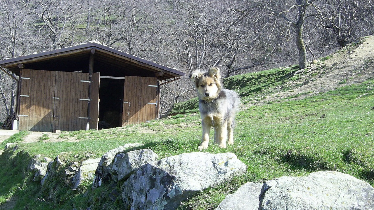 Photo of Others in Pieve Fosciana