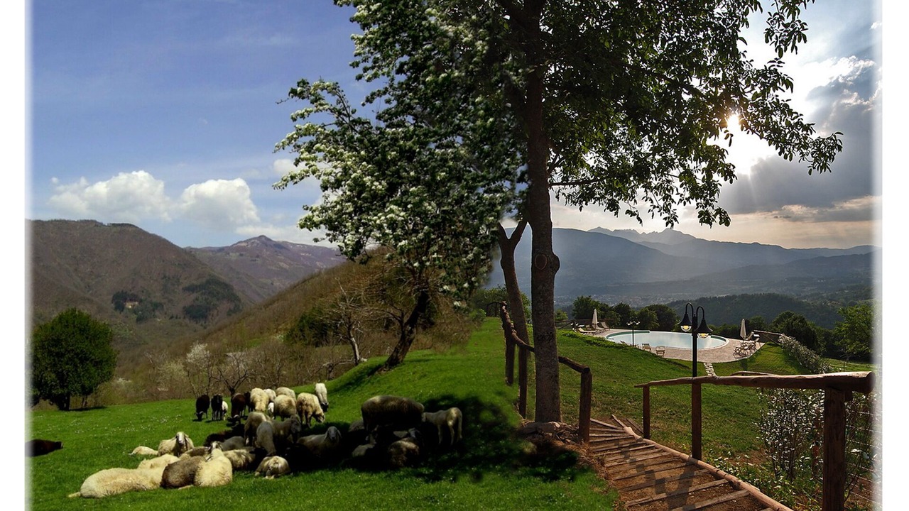 Photo of Outdoor in Pieve Fosciana