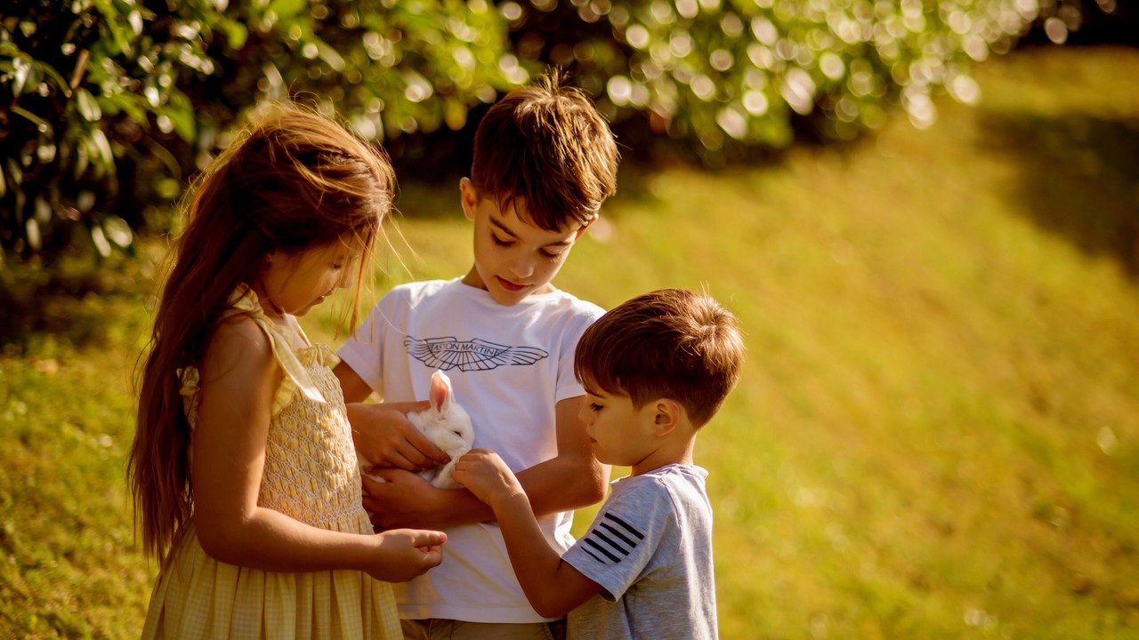 Photo of Others in Pieve Fosciana