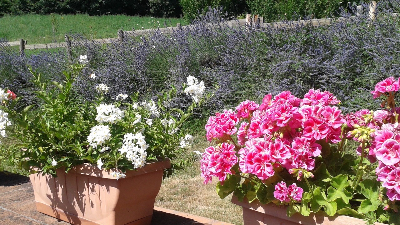 Photo of Outdoor in Castelnuovo di Val di Cecina