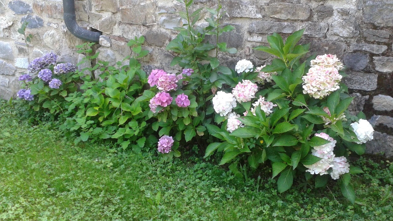 Photo of Outdoor in Castelnuovo di Val di Cecina