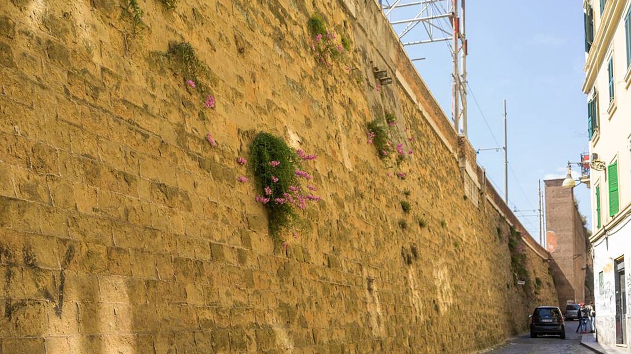 Photo of Outdoor in Marsala